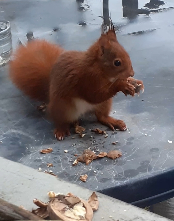 Screenshot_20251207-223411_Gallery